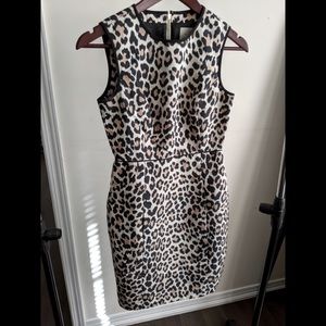 Kate Spade Autumn Leopard Domino Sheath Dress